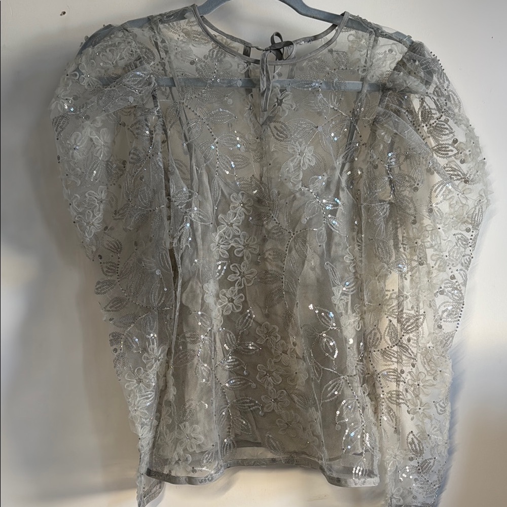 & Other Stories Sheer Organza Blouse